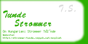 tunde strommer business card